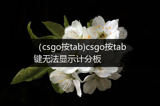 （csgo按tab)csgo按tab键无法显示计分板