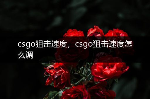 csgo狙击速度，csgo狙击速度怎么调