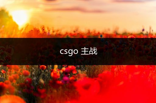 csgo 主战