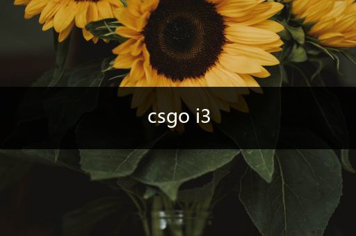 csgo i3