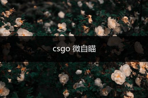 csgo 微自瞄