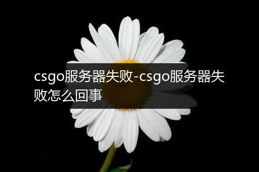 csgo服务器失败-csgo服务器失败怎么回事