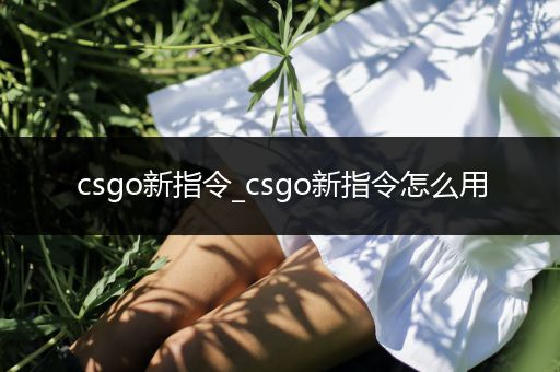 csgo新指令_csgo新指令怎么用