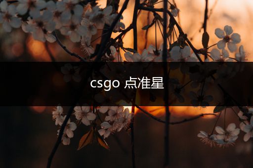 csgo 点准星