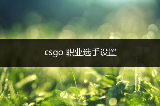 csgo 职业选手设置