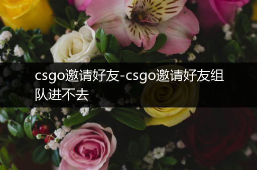 csgo邀请好友-csgo邀请好友组队进不去