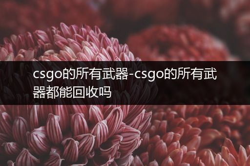 csgo的所有武器-csgo的所有武器都能回收吗