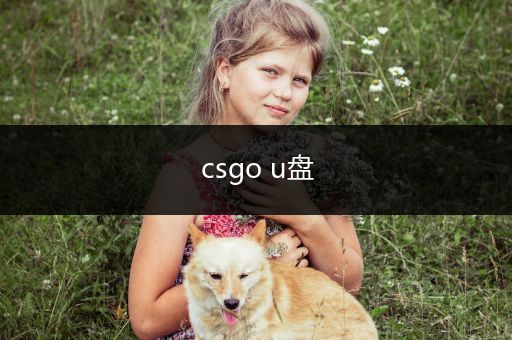 csgo u盘