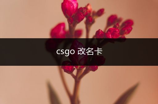 csgo 改名卡