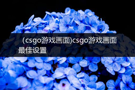 （csgo游戏画面)csgo游戏画面最佳设置