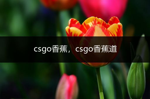 csgo香蕉，csgo香蕉道