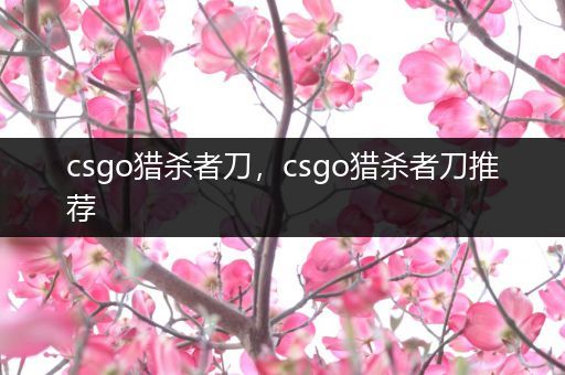 csgo猎杀者刀，csgo猎杀者刀推荐