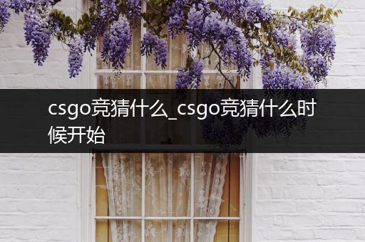 csgo竞猜什么_csgo竞猜什么时候开始