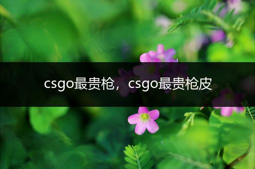 csgo最贵枪，csgo最贵枪皮