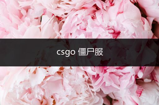 csgo 僵尸服