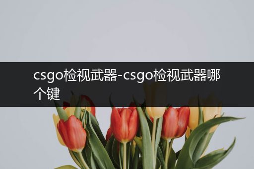 csgo检视武器-csgo检视武器哪个键