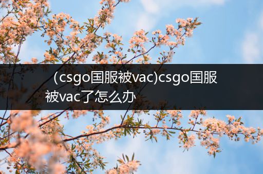 （csgo国服被vac)csgo国服被vac了怎么办