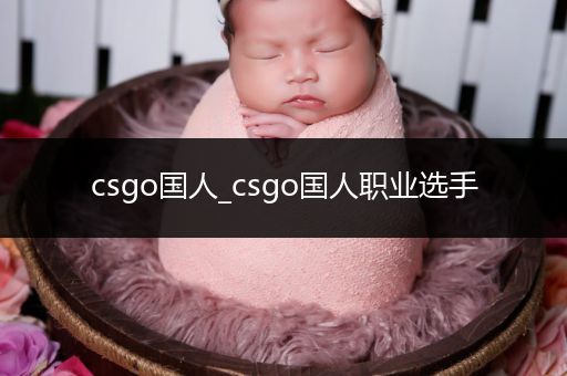 csgo国人_csgo国人职业选手