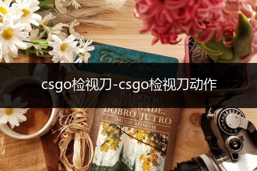 csgo检视刀-csgo检视刀动作