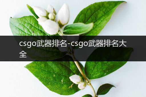 csgo武器排名-csgo武器排名大全