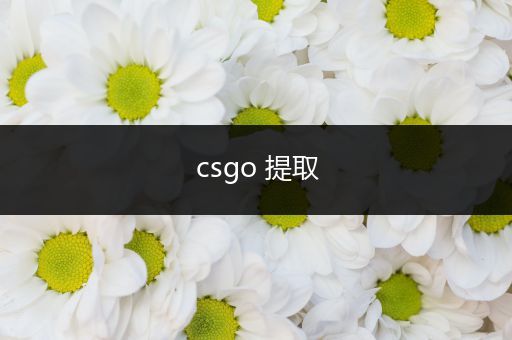 csgo 提取