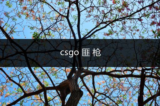 csgo 匪 枪