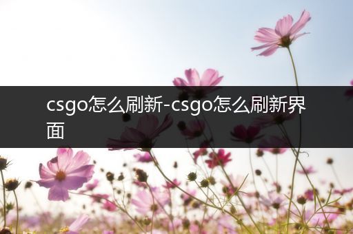 csgo怎么刷新-csgo怎么刷新界面