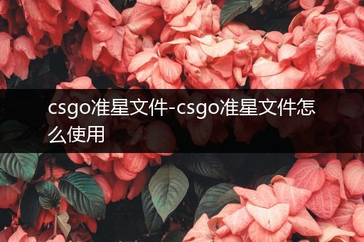 csgo准星文件-csgo准星文件怎么使用