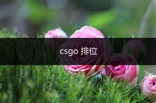 csgo 排位