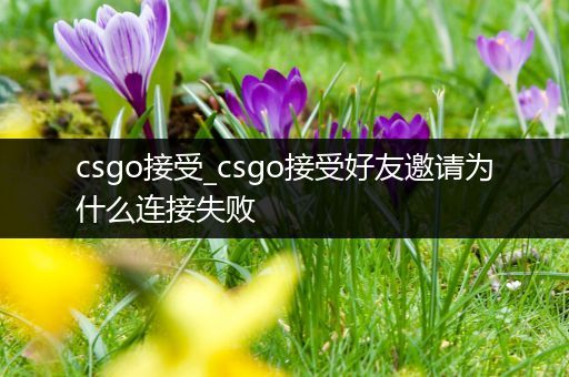 csgo接受_csgo接受好友邀请为什么连接失败