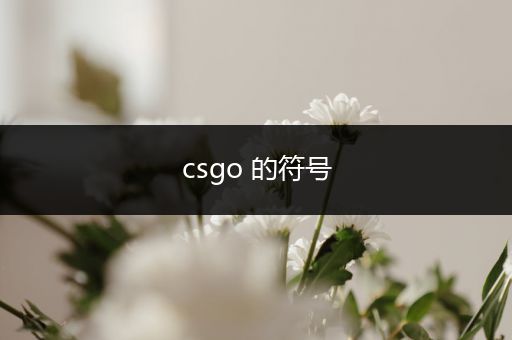 csgo 的符号