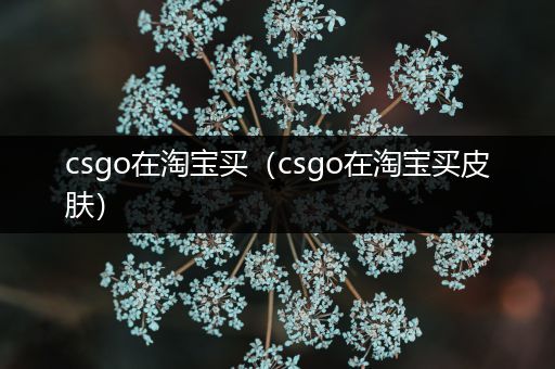 csgo在淘宝买（csgo在淘宝买皮肤）