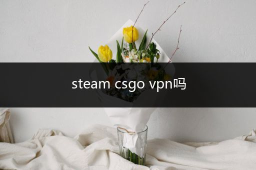 steam csgo vpn吗