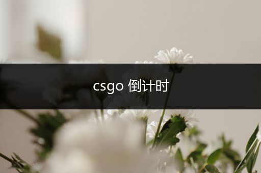 csgo 倒计时