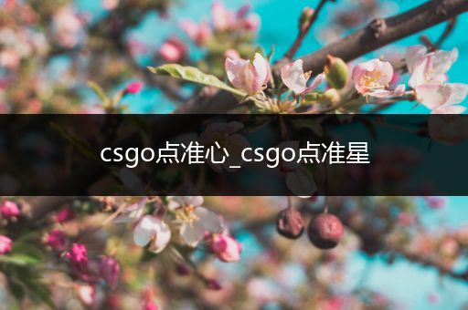 csgo点准心_csgo点准星