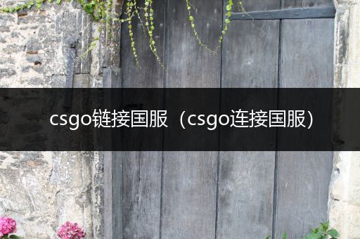 csgo链接国服（csgo连接国服）