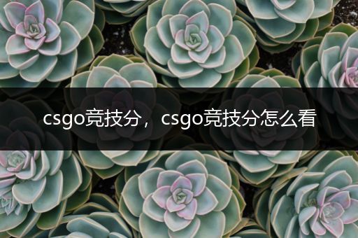 csgo竞技分，csgo竞技分怎么看