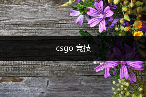 csgo 竞技