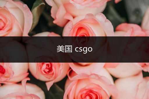 美国 csgo