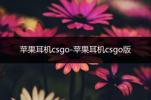 苹果耳机csgo-苹果耳机csgo版