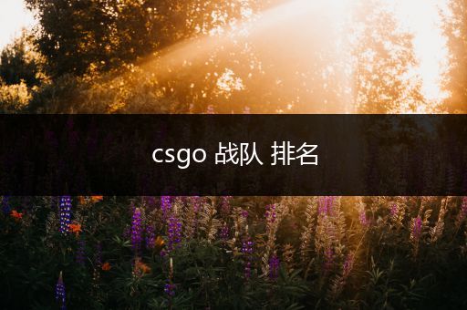 csgo 战队 排名