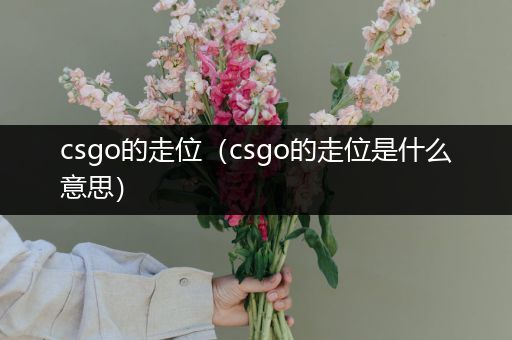 csgo的走位（csgo的走位是什么意思）