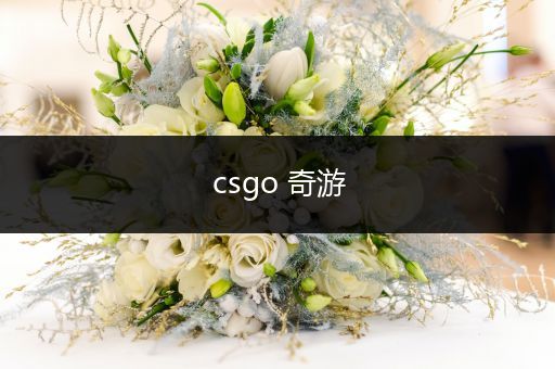 csgo 奇游