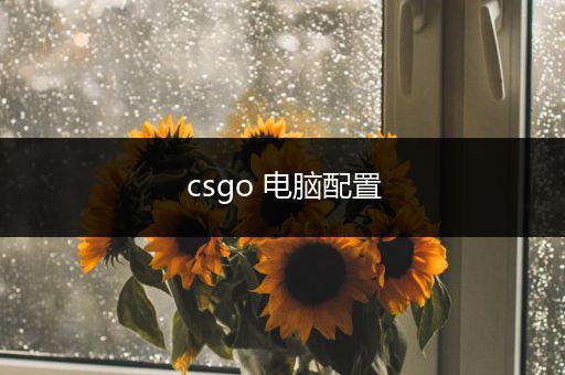 csgo 电脑配置