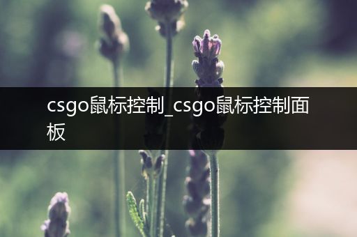 csgo鼠标控制_csgo鼠标控制面板