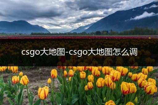 csgo大地图-csgo大地图怎么调