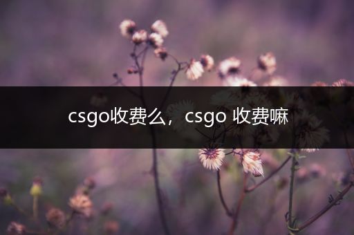 csgo收费么，csgo 收费嘛