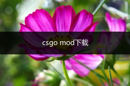 csgo mod下载