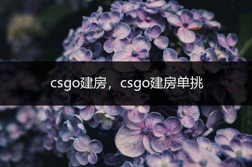 csgo建房，csgo建房单挑