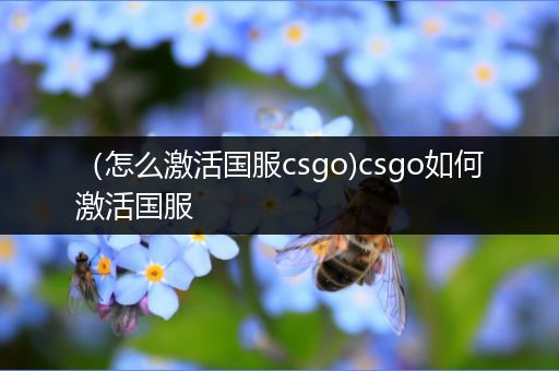 （怎么激活国服csgo)csgo如何激活国服